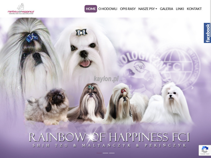 Rainbow Of Happiness strona www